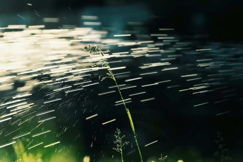 Automata öntözőrendszer árak és minőségi telepítés az Esőmestertől